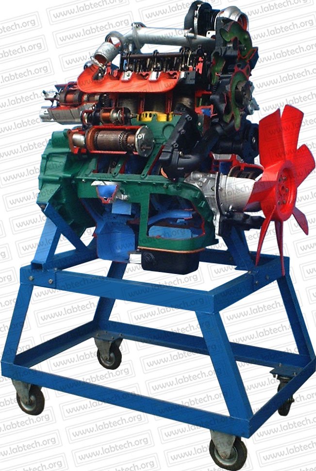 Petrol & Diesel Engines
