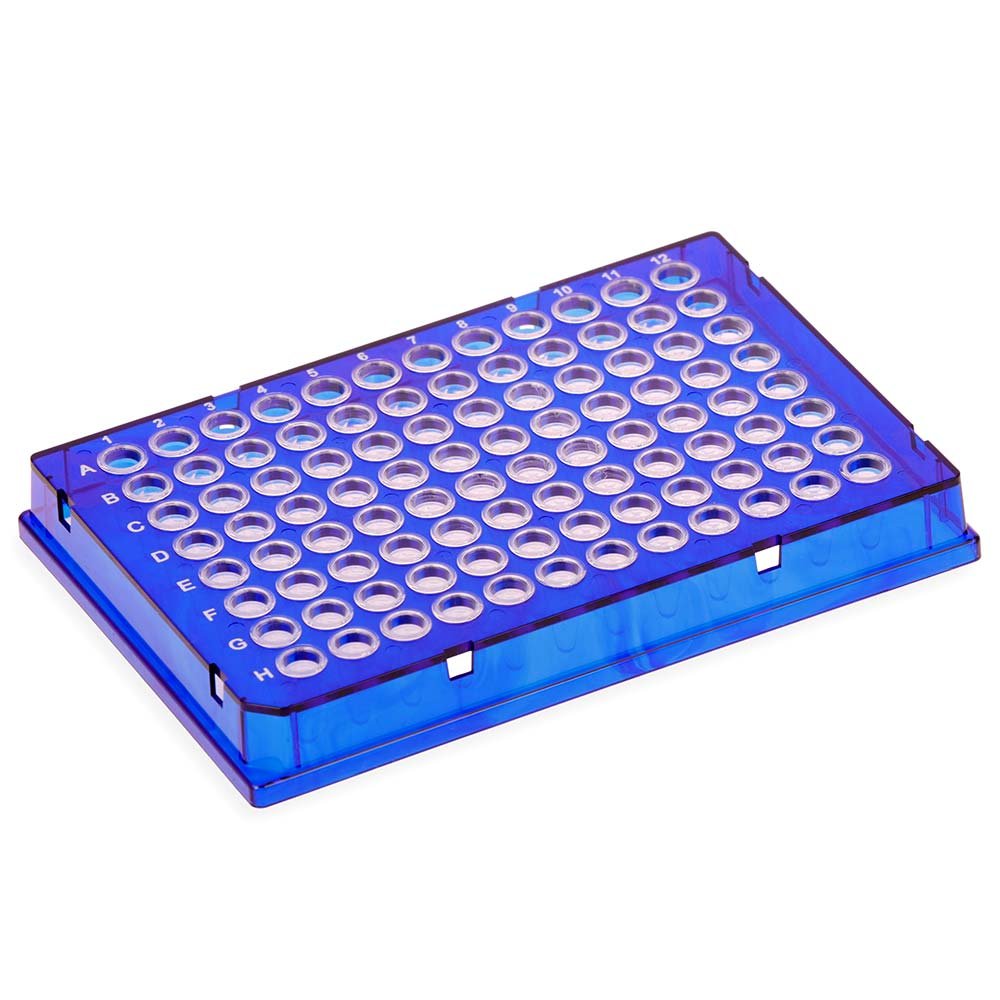 Special Order – Diamond Shell 0.1mL 96 well PCR Plate, Full skirt, Blue PC frame and Clear PP wells