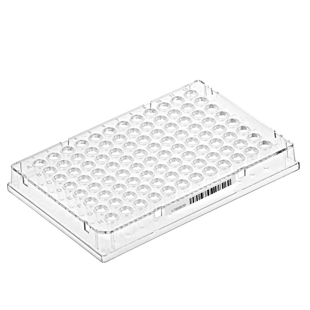 Special Order – Diamond Shell 0.1mL 96 well PCR Plate, Full skirt, Clear PC frame and Clear PP wells, barcoded