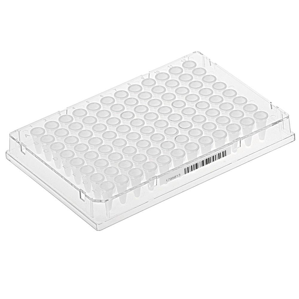 Special Order – Diamond Shell 0.1mL 96 well PCR Plate, Full skirt, Clear PC frame and White PP wells, barcoded