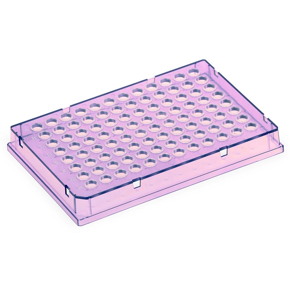 Special Order – Diamond Shell 0.1mL 96 well PCR Plate, Full skirt, Violet PC frame and Clear PP wells