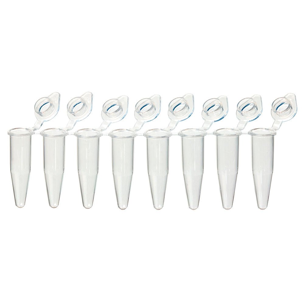 Pcr Products