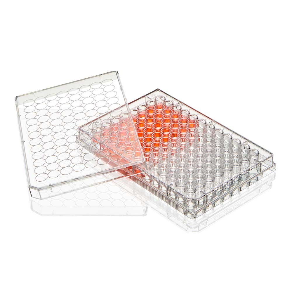 Cell And Tissue Culture