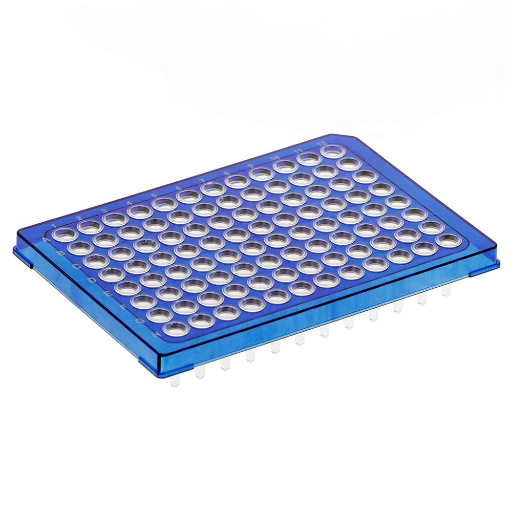 Special Order – Diamond Shell 0.2mL 96 well PCR Plate, Half skirt, Blue PC frame and PP wells
